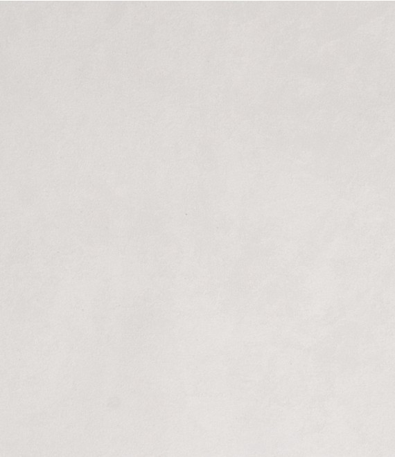 CAMURÇA SUEDE BRANCA